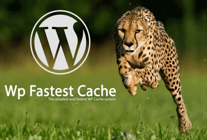 Fungsi dan Kegunaan WP Fastest Cache untuk WordPress